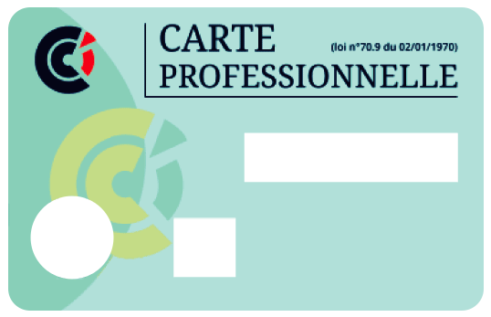 Carte professionnelle immobilière
